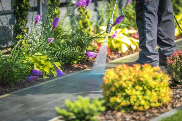 Best Restaurant Pressure Washing  in Castroville, TX